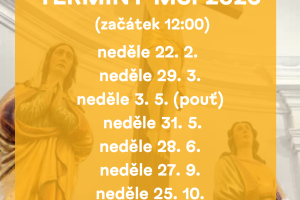 6960c2da02c28_mse