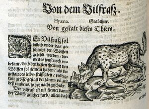 image00235